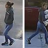 NYPD: This Woman Stole A Shih-Tzu From A Queens Yard